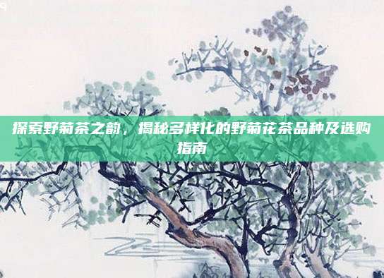 探索野菊茶之韵,揭秘多样化的野菊花茶品种及选购指南