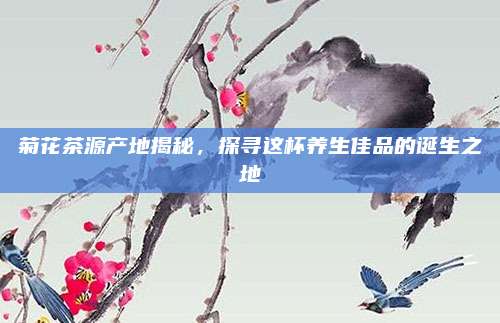 菊花茶源产地揭秘,探寻这杯养生佳品的诞生之地