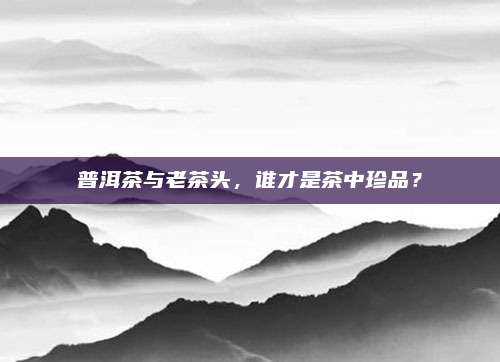 普洱茶与老茶头，谁才是茶中珍品？