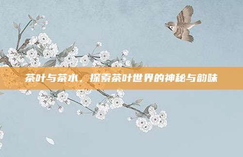 茶叶与茶水，探索茶叶世界的神秘与韵味