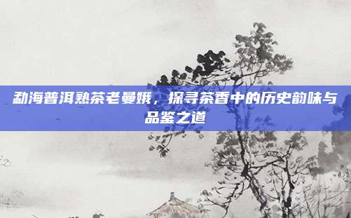 勐海普洱熟茶老曼娥，探寻茶香中的历史韵味与品鉴之道