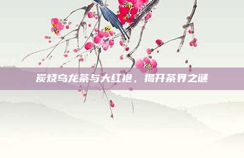 炭烧乌龙茶与大红袍，揭开茶界之谜