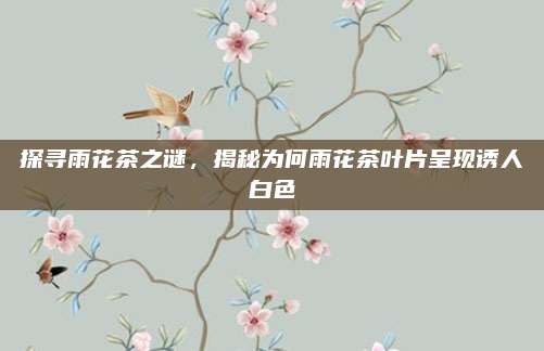 探寻雨花茶之谜，揭秘为何雨花茶叶片呈现诱人白色