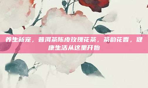 养生新宠，普洱茶陈皮玫瑰花茶，茶韵花香，健康生活从这里开始