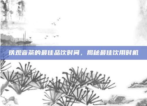 铁观音茶的最佳品饮时间，揭秘最佳饮用时机