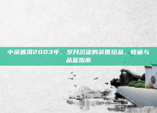 中茶普洱2003年，岁月沉淀的茶香珍品，收藏与品鉴指南