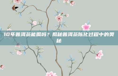 10年普洱茶能喝吗?揭秘普洱茶陈化过程中的奥秘