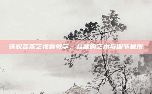 铁观音茶艺视频教学，品茗的艺术与细节呈现
