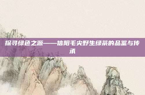 探寻绿色之源——信阳毛尖野生绿茶的品鉴与传承