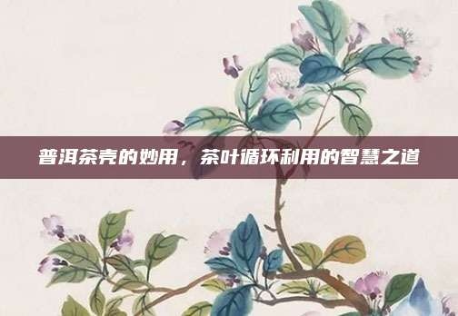 普洱茶壳的妙用,茶叶循环利用的智慧之道