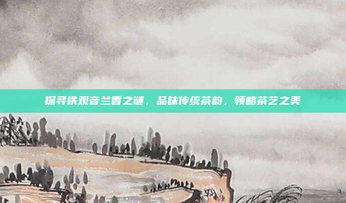 探寻铁观音兰香之谜,品味传统茶韵,领略茶艺之美