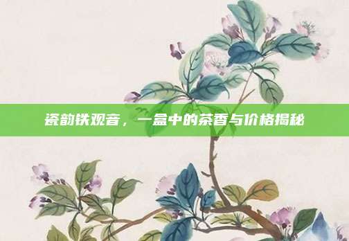 瓷韵铁观音，一盒中的茶香与价格揭秘
