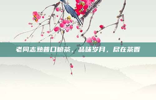 老同志熟普口粮茶，品味岁月，尽在茶香