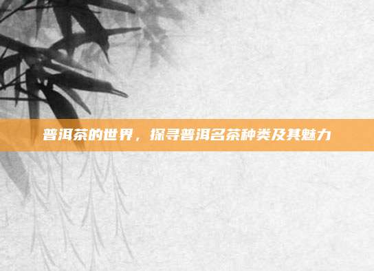 普洱茶的世界，探寻普洱名茶种类及其魅力