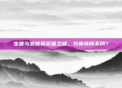 生普与熟普投茶量之谜，究竟有何不同？