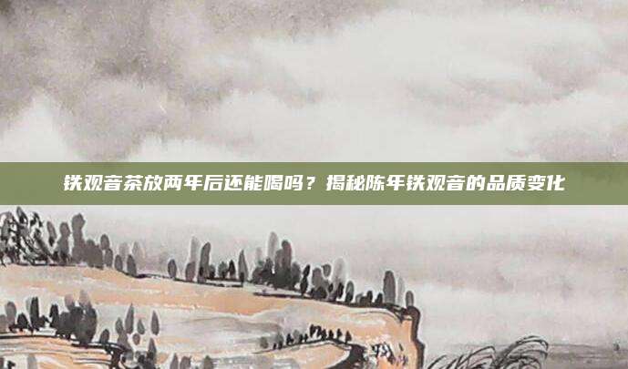 铁观音茶放两年后还能喝吗？揭秘陈年铁观音的品质变化