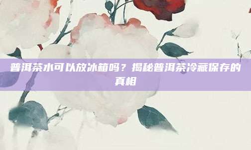 普洱茶水可以放冰箱吗？揭秘普洱茶冷藏保存的真相