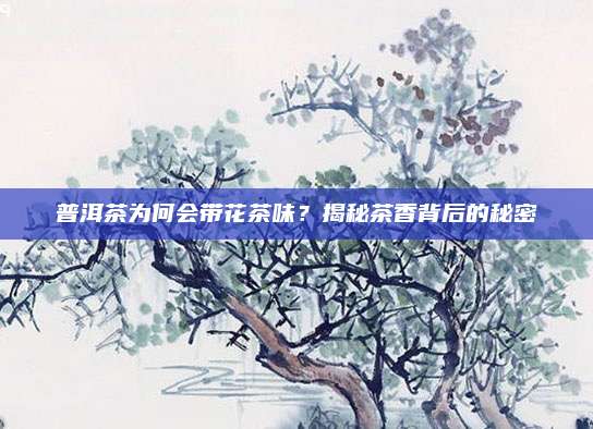 普洱茶为何会带花茶味？揭秘茶香背后的秘密