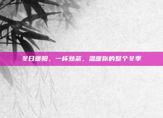 冬日暖阳，一杯熟茶，温暖你的整个冬季