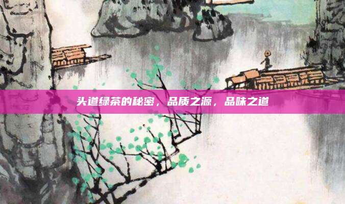 头道绿茶的秘密，品质之源，品味之道