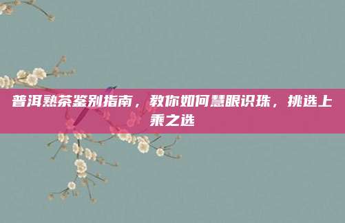 普洱熟茶鉴别指南，教你如何慧眼识珠，挑选上乘之选