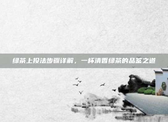 绿茶上投法步骤详解，一杯清香绿茶的品鉴之道