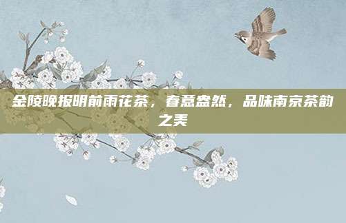 金陵晚报明前雨花茶，春意盎然，品味南京茶韵之美