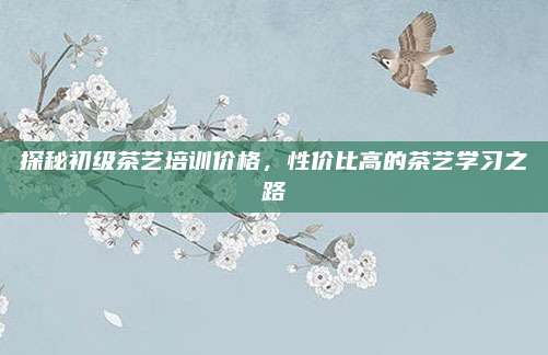 探秘初级茶艺培训价格，性价比高的茶艺学习之路