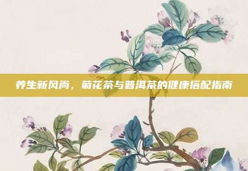 养生新风尚,菊花茶与普洱茶的健康搭配指南