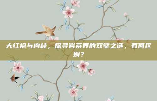 大红袍与肉桂，探寻岩茶界的双璧之谜，有何区别？