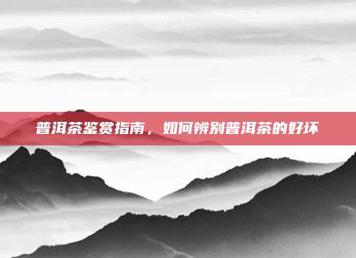普洱茶鉴赏指南，如何辨别普洱茶的好坏