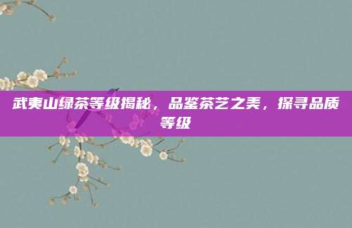 武夷山绿茶等级揭秘，品鉴茶艺之美，探寻品质等级