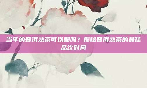 当年的普洱熟茶可以喝吗?揭秘普洱熟茶的最佳品饮时间