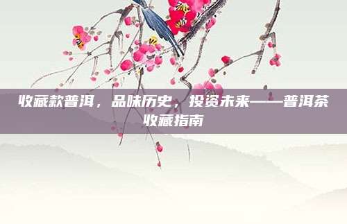 收藏款普洱，品味历史，投资未来——普洱茶收藏指南