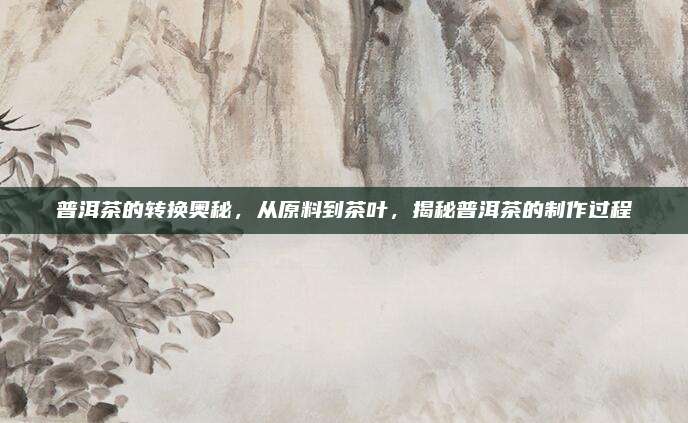 普洱茶的转换奥秘，从原料到茶叶，揭秘普洱茶的制作过程