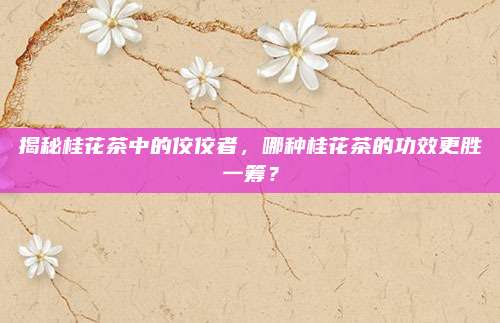 揭秘桂花茶中的佼佼者，哪种桂花茶的功效更胜一筹？