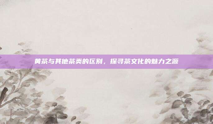 黄茶与其他茶类的区别,探寻茶文化的魅力之源