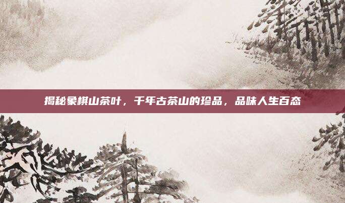揭秘象棋山茶叶,千年古茶山的珍品,品味人生百态