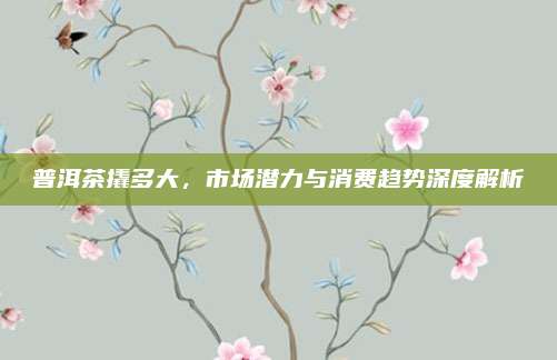 普洱茶撬多大，市场潜力与消费趋势深度解析