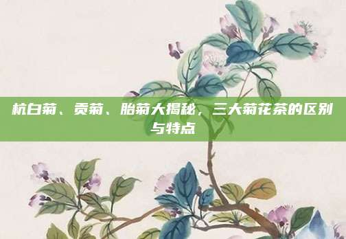 杭白菊、贡菊、胎菊大揭秘，三大菊花茶的区别与特点