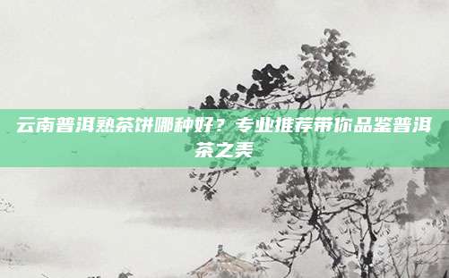 云南普洱熟茶饼哪种好？专业推荐带你品鉴普洱茶之美