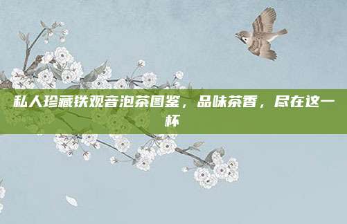 私人珍藏铁观音泡茶图鉴，品味茶香，尽在这一杯