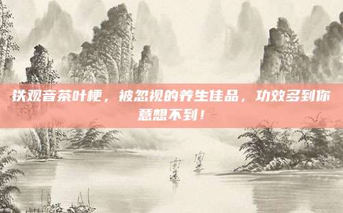 铁观音茶叶梗，被忽视的养生佳品，功效多到你意想不到！