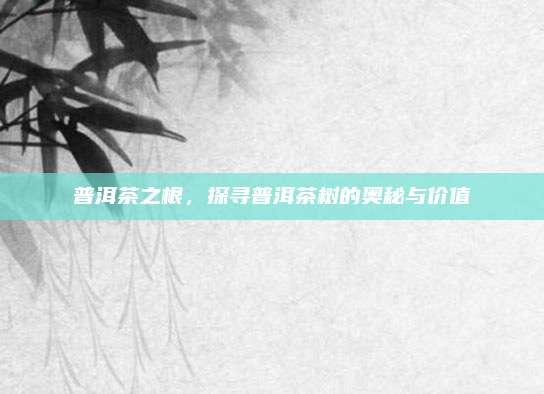 普洱茶之根,探寻普洱茶树的奥秘与价值