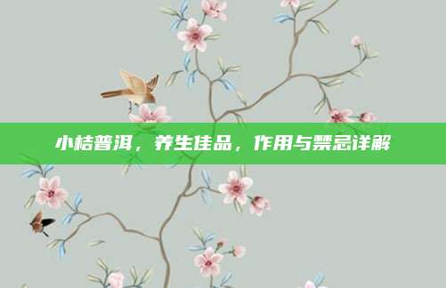 小桔普洱，养生佳品，作用与禁忌详解