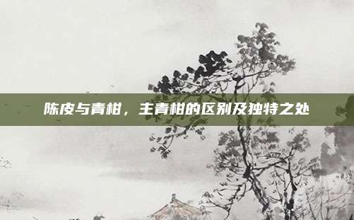 陈皮与青柑，主青柑的区别及独特之处