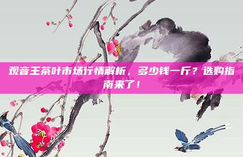 观音王茶叶市场行情解析，多少钱一斤？选购指南来了！