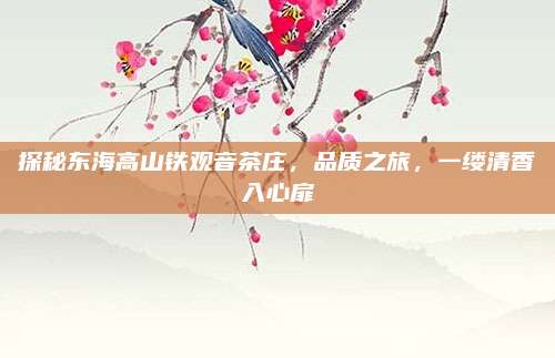探秘东海高山铁观音茶庄，品质之旅，一缕清香入心扉