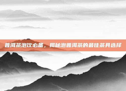 普洱茶泡饮必备，揭秘泡普洱茶的最佳茶具选择