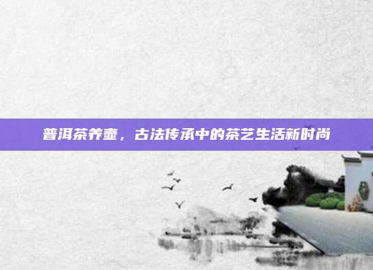 普洱茶养壶，古法传承中的茶艺生活新时尚